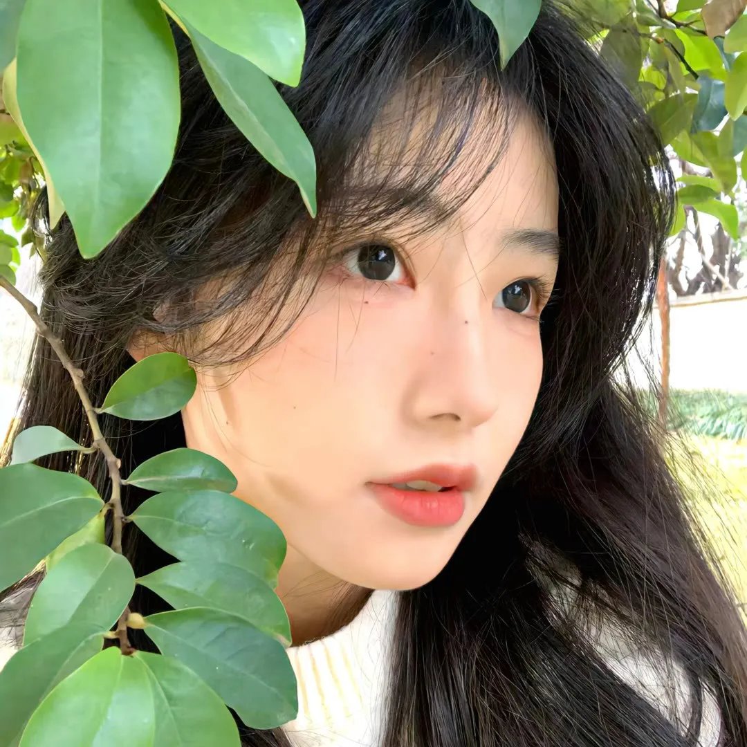 高清新片
